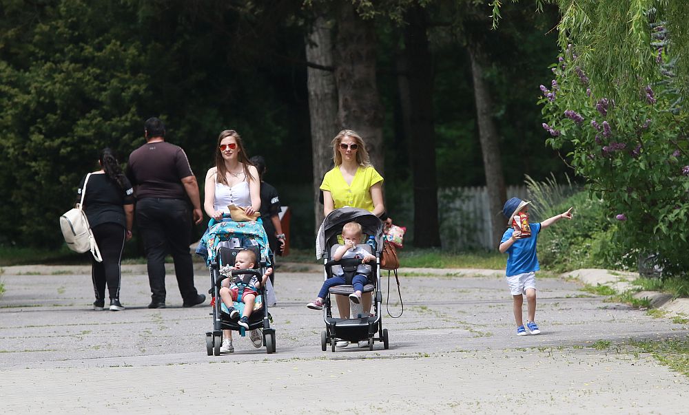 Вече има кой да се възхищава на животните в столичния зоопарк