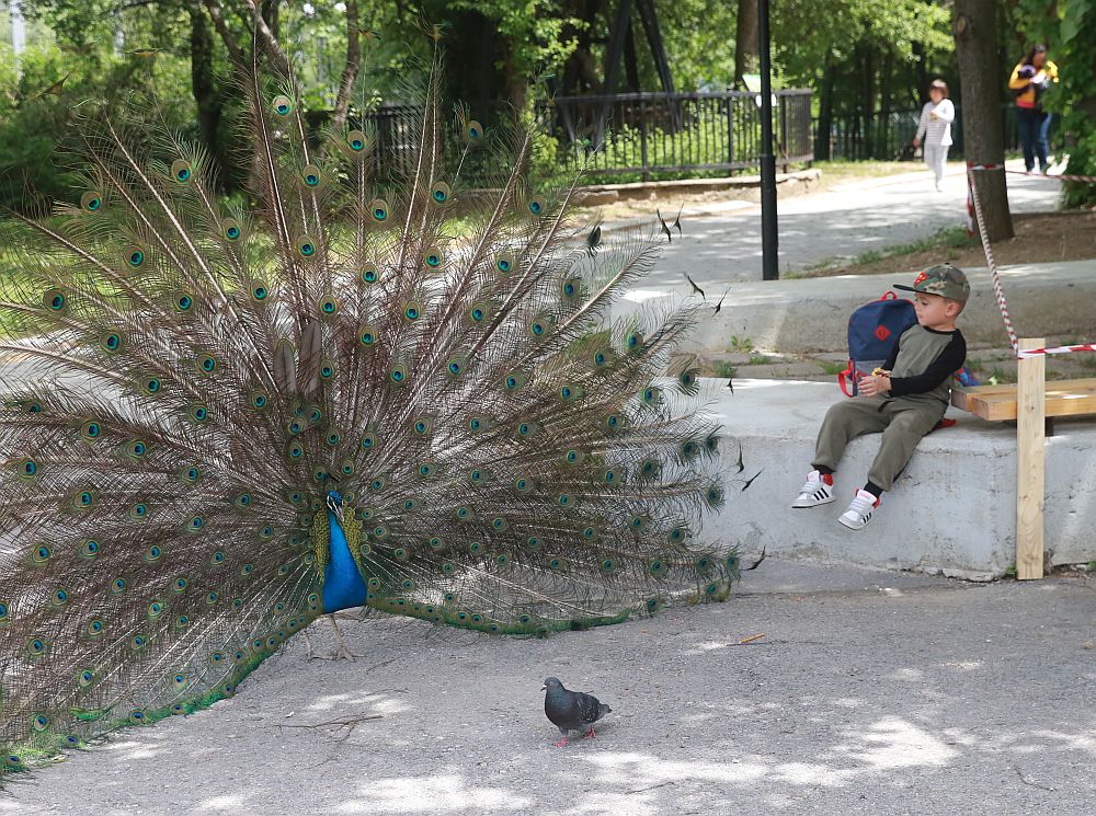 Вече има кой да се възхищава на животните в столичния зоопарк