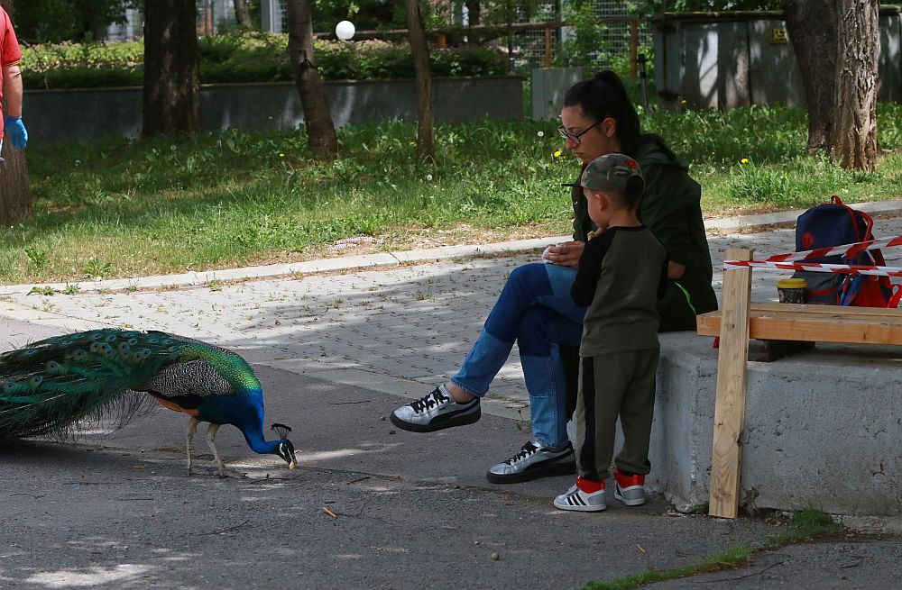 Вече има кой да се възхищава на животните в столичния зоопарк