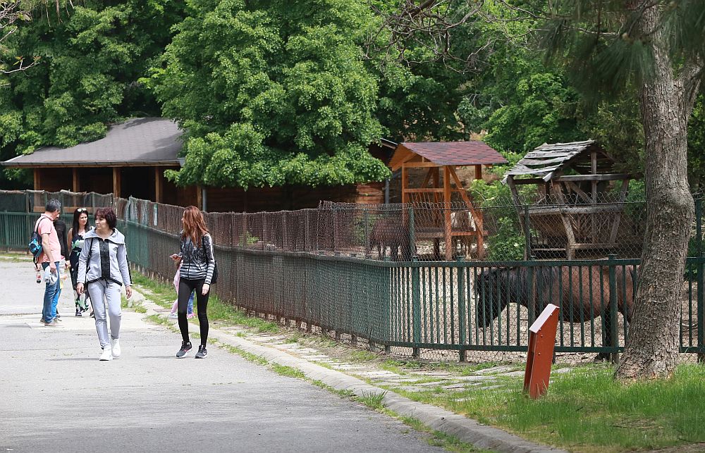Вече има кой да се възхищава на животните в столичния зоопарк
