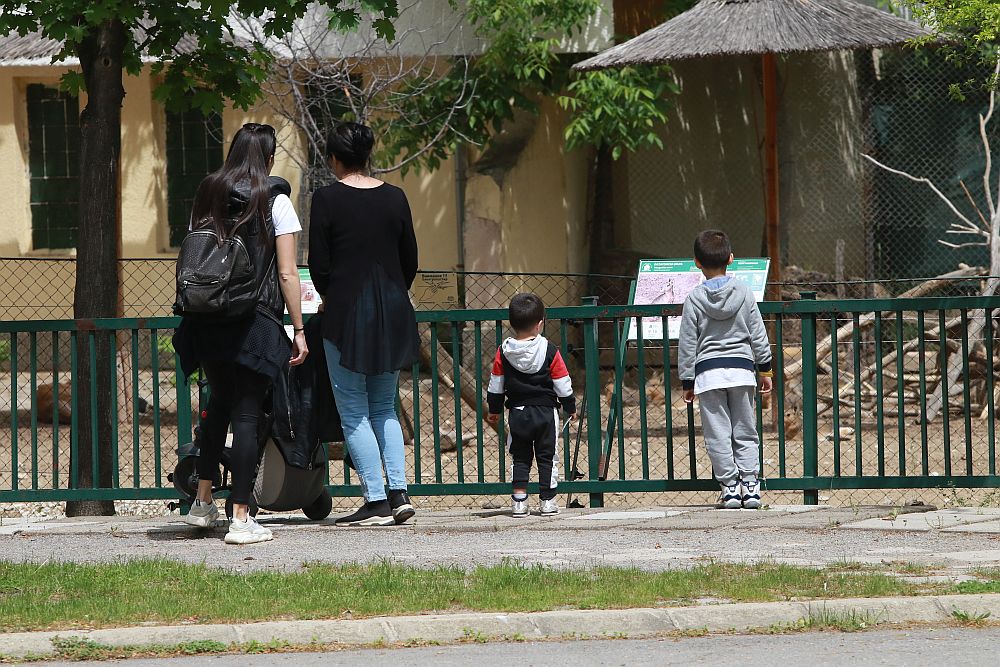 Вече има кой да се възхищава на животните в столичния зоопарк