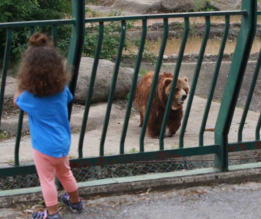 Вече има кой да се възхищава на животните в столичния зоопарк