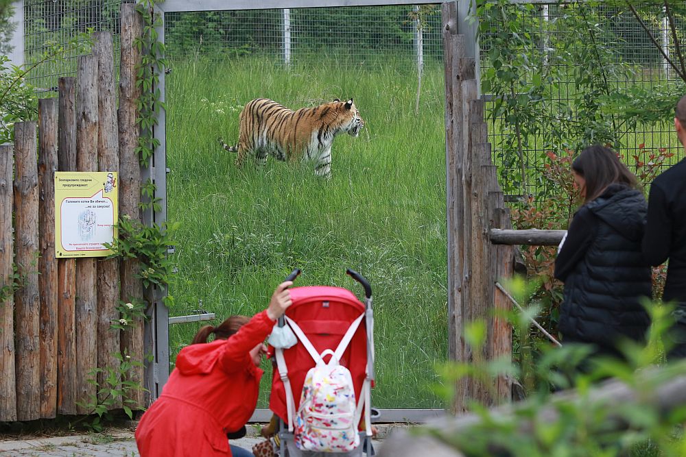 Вече има кой да се възхищава на животните в столичния зоопарк
