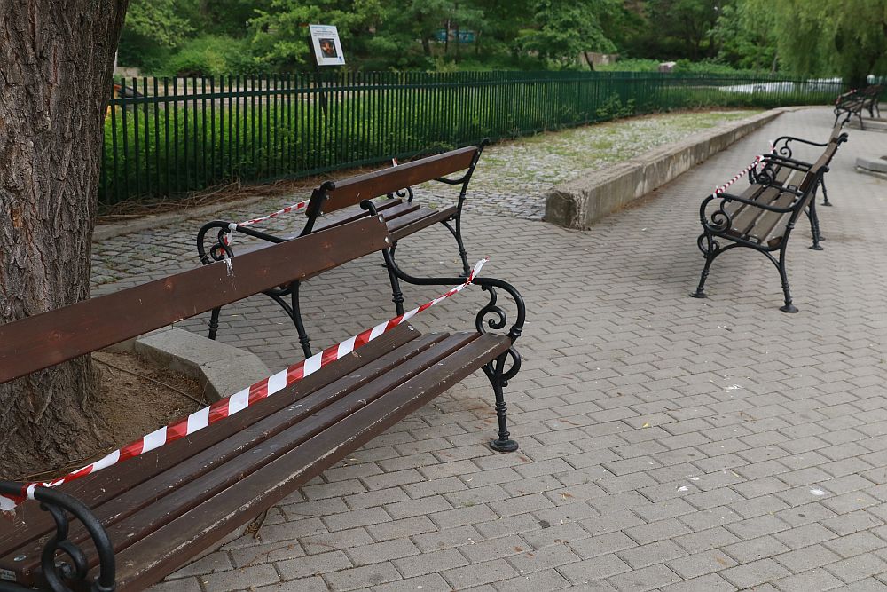 Вече има кой да се възхищава на животните в столичния зоопарк