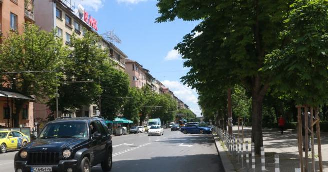 Четири зелени улици в София гласува днес Общинският съвет на