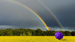 дъжд цветя прогноза за времето