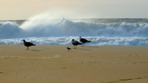  Дъжд и гръмотевици през днешния ден, докога ще продължи захлаждането? 