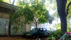 репатриране на автомобили