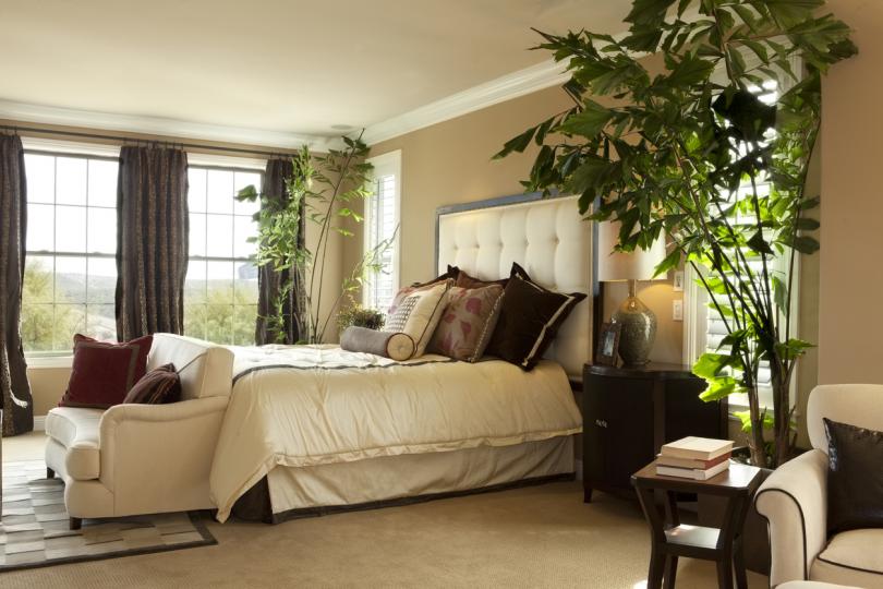 <p>Растения в саксия - зеленият цвят успокоява, а наличието на растения в стаята прави атмосферата по-уютна и създават усещането за простор и близост с природата.</p>