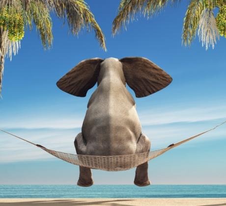 Това лято реших че ще съм като слон на плажа