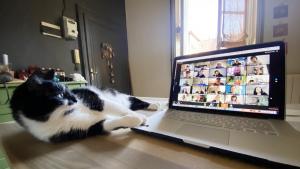 видеоконферентен разговор компютър