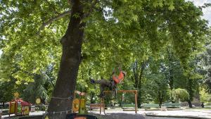 обследване