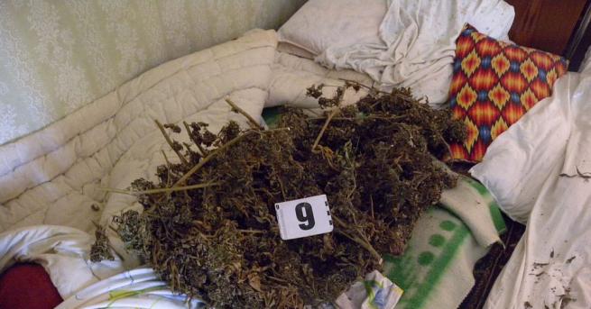 Близо 4 5 кг суха тревна маса канабис е открита в