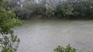 река Русенски Лом