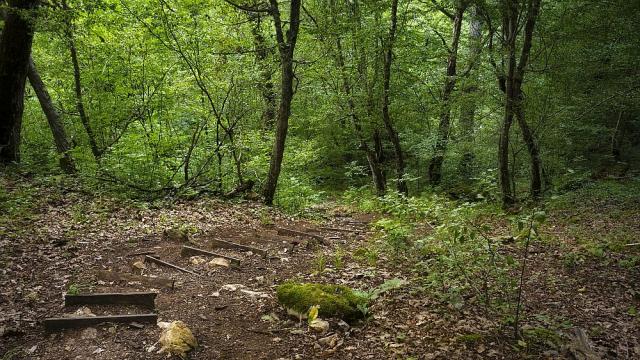  Индипасха – едно от най-мистичните места в Странджа (ВИДЕО)