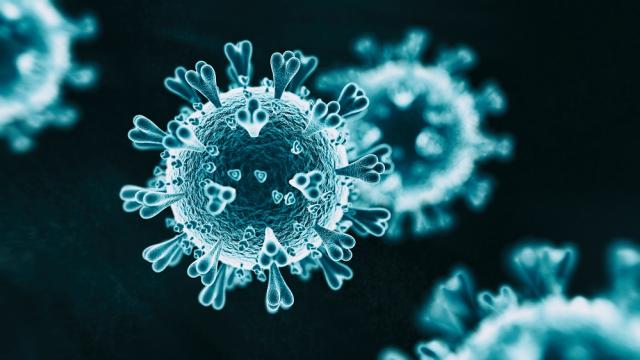 Коронавирусът удря цялата нервна система на човека