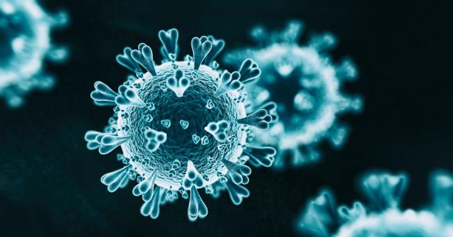 Пандемията от новия коронавирус ускорява разпространението си в Африка тръгвайки
