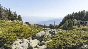 Фотографска изложба озаглавена Витоша – планината която дава живот ще