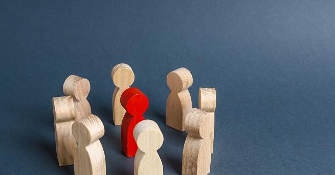 Има ли място терминът раса в конституцията на една страна