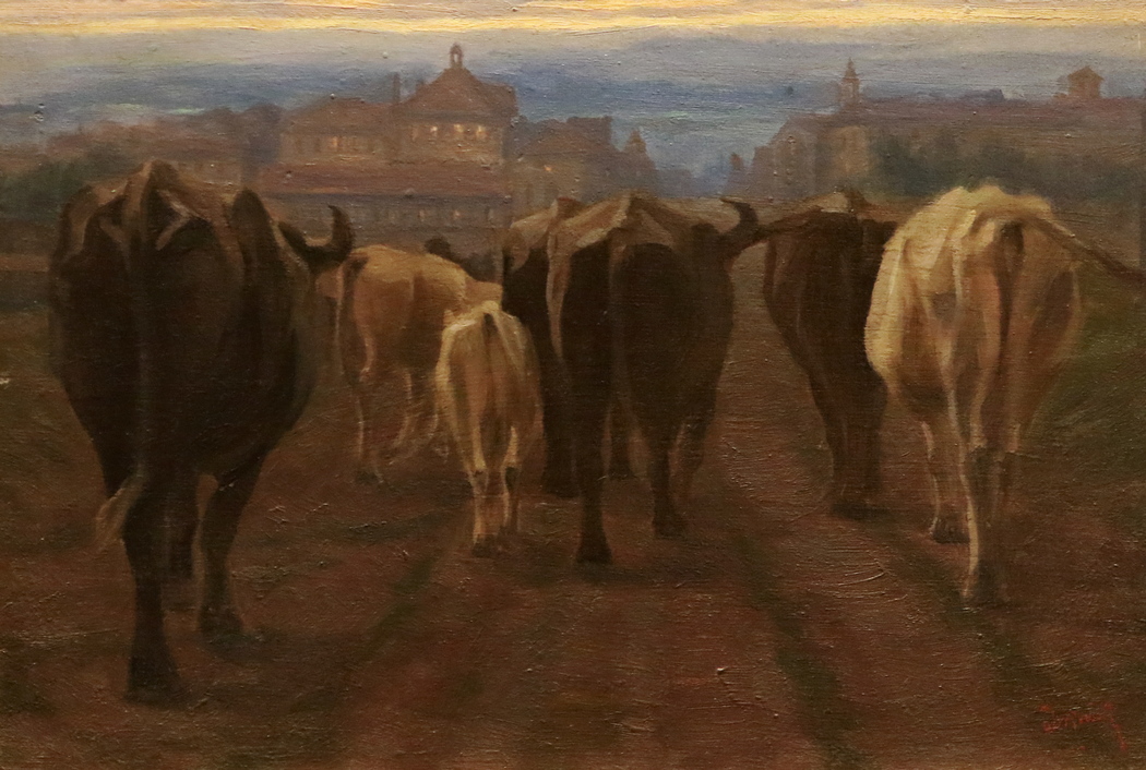 <p>Крави срешу затвора</p>