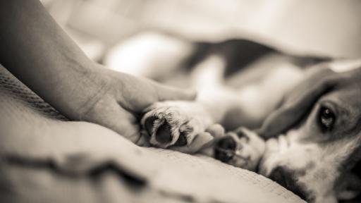  <p>&bdquo;Здравей, дребосъче! Виж какво правиш&rdquo;</p> 