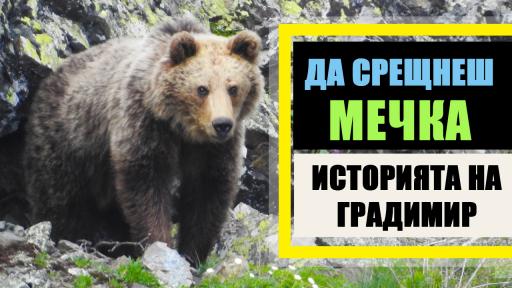  Да срещнеш мечка в гората – историята на Градимир Йовчев 