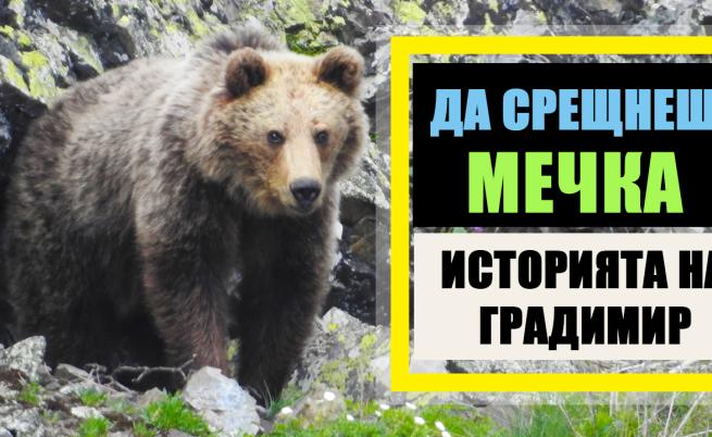 Да срещнеш мечка в гората – историята на Градимир Йовчев