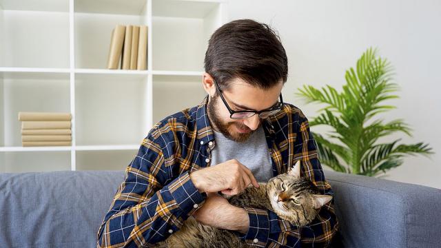 Мъжете, снимали се с котки, са с провалени шансове в сайтовете за запознанства