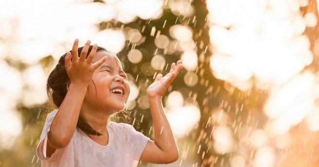 Дъждът се образува чрез кондензацията на капки в някои видове