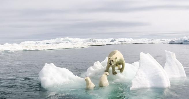 Температурите в Арктическия кръг вероятно са ударили рекорд за всички
