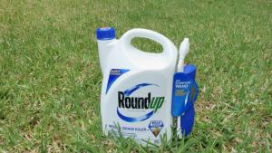 Раундъп