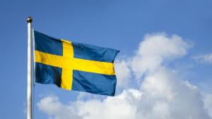Министрите на външните работи на Швеция и Финландия подготвят посещение