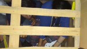 мигранти Кулата