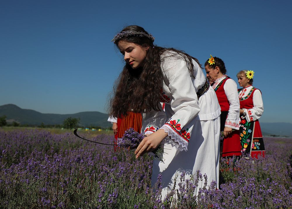 Ароматът на билката няма как да бъде сбъркан и не случайно я наричат есенцията на живота.