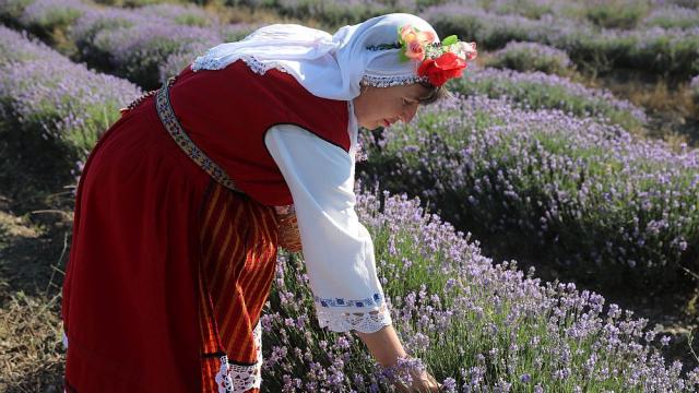 В Карлово празнуват чудодейната сила на лавандулата (ГАЛЕРИЯ)