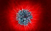  <br> Коронавирус: учени направиха значимо изобретение за новата болест <br> 