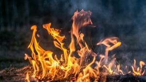 Стотици португалски огнеборци се включиха в гасенето на пожар бушуващ