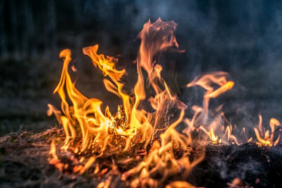Стотици португалски огнеборци се включиха в гасенето на пожар, бушуващ