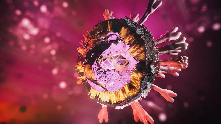 The Sun: Нова версия за появата на коронавируса