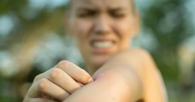 Комарите са едни много досадни и опасни насекоми Всяко лято