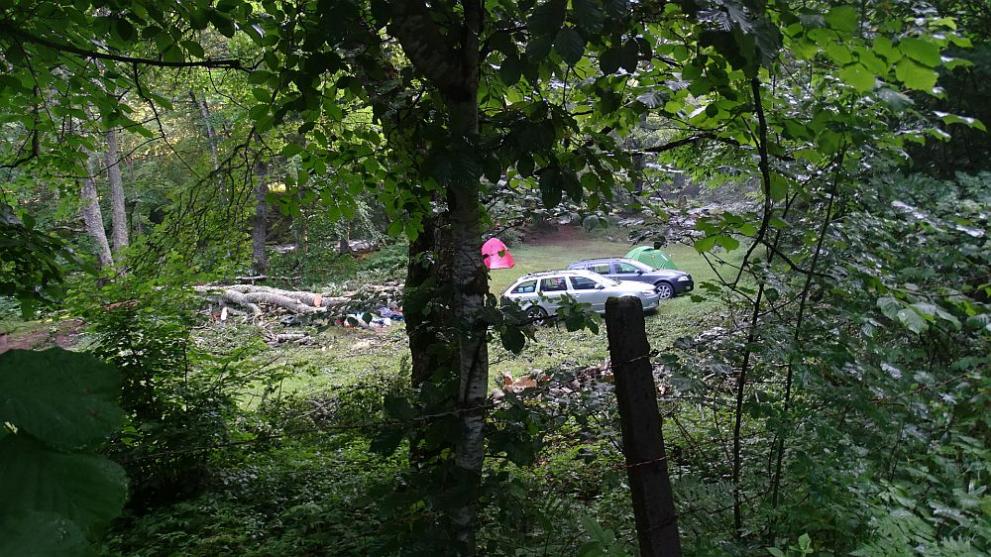  паднало дърво 