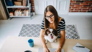 работа вкъщи