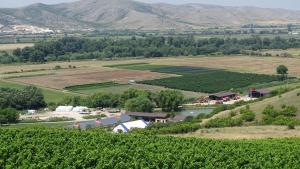 агростопанство