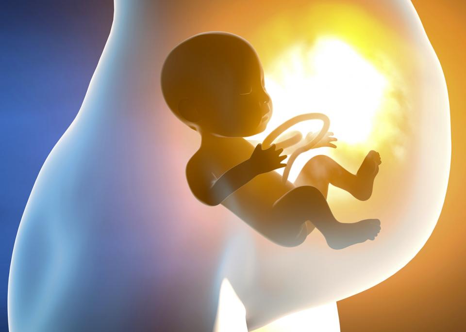 бебе бременна плацента
