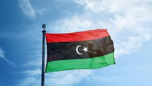 Либийският парламент заседаващ в град Тобрук в Източна Либия поиска незабавното