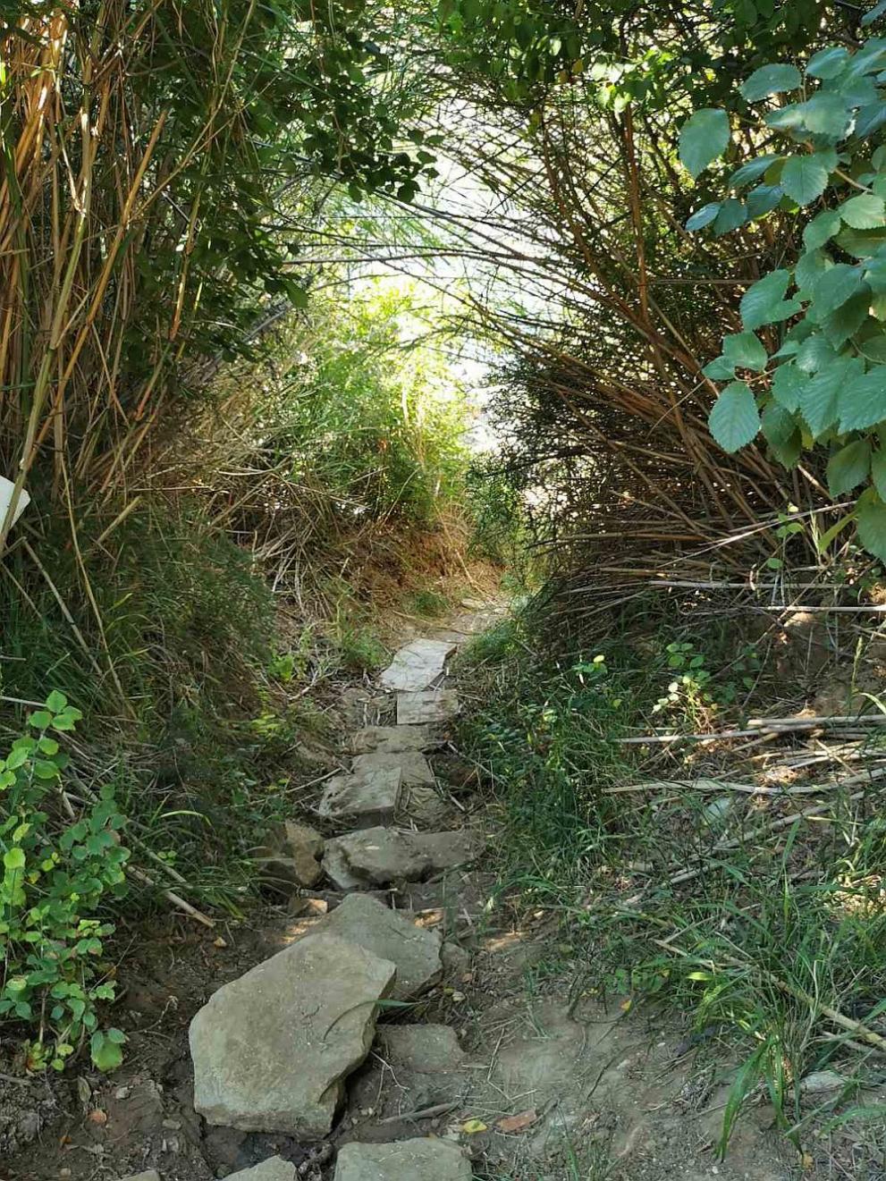  Черноморие инспекции 