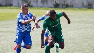 Лудогорец и Монтана