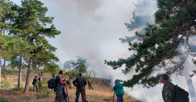 Армията се включи в потушаването на пожара край старозагорското село