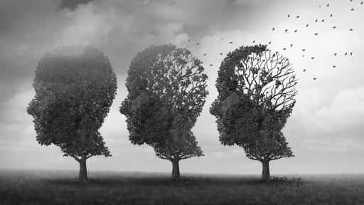  <p>Психично болен тормози съседите си, заплашил и бременна жена</p> 