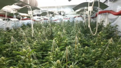  Нарколаборатория на три етажа в Ямбол 